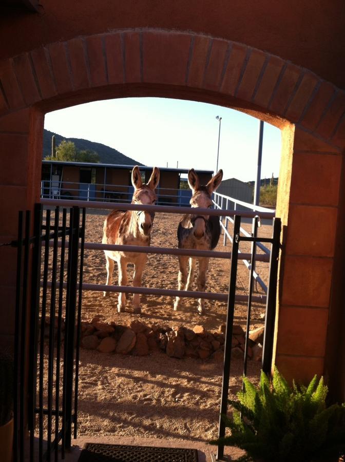 Full Circle Ranch B&B Inn Cave Creek Exterior photo